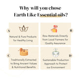 Cinnamon essential oil 15ml