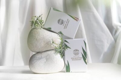 Benefits & DIY Uses For Eucalyptus Essential Oil