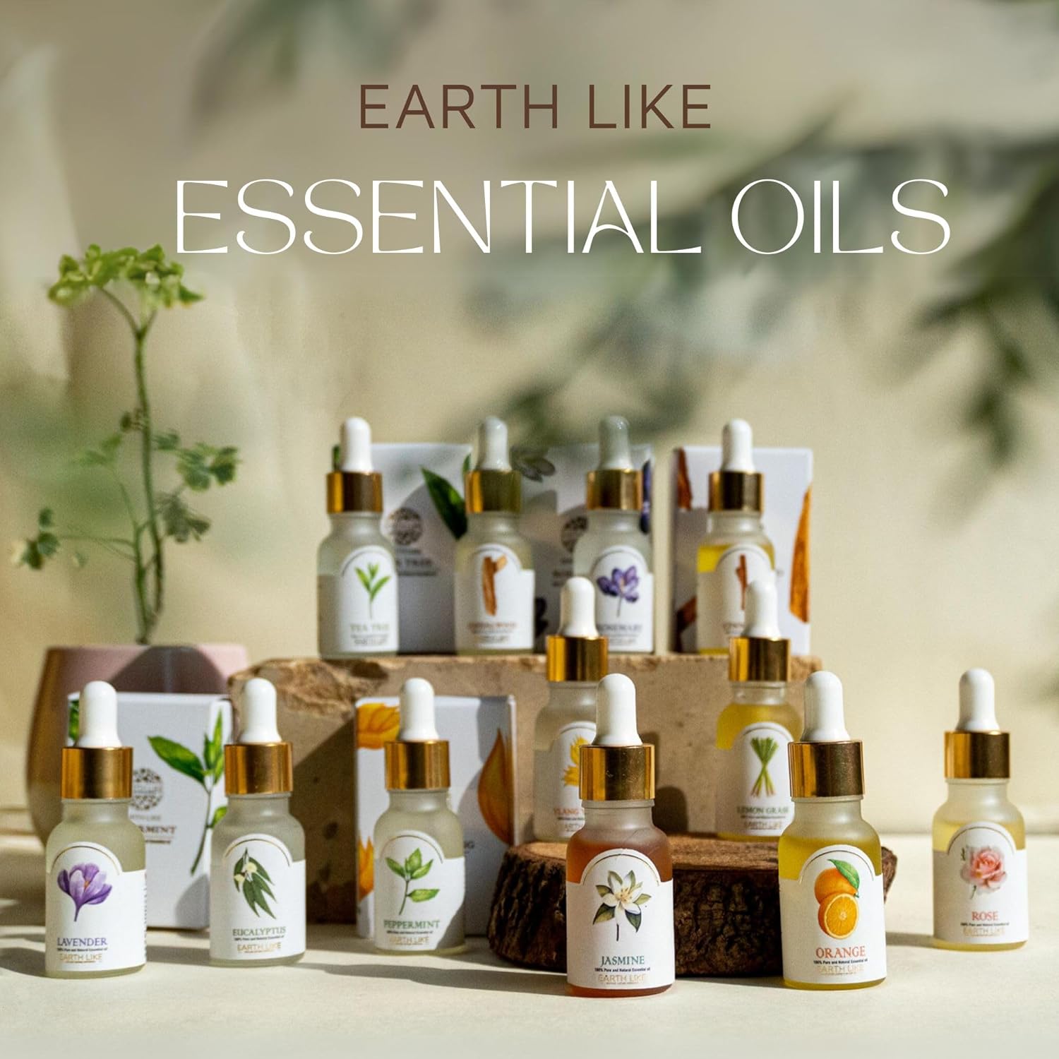 Cinnamon essential oil