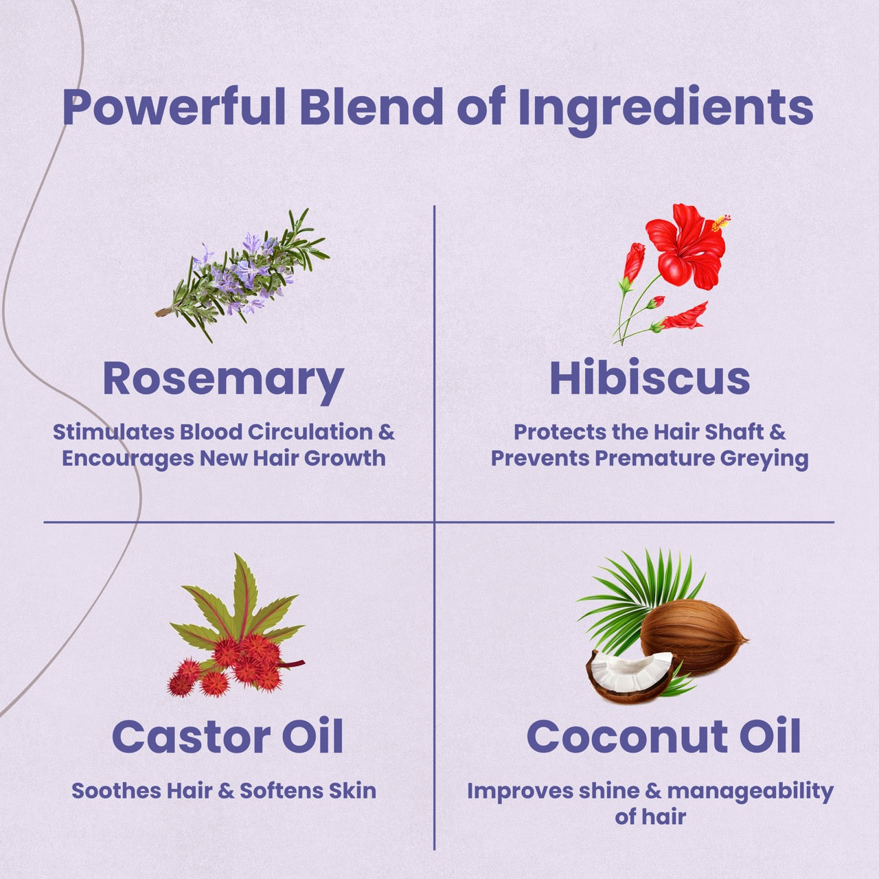 Earth Like Rosemary Hair Growth Oil