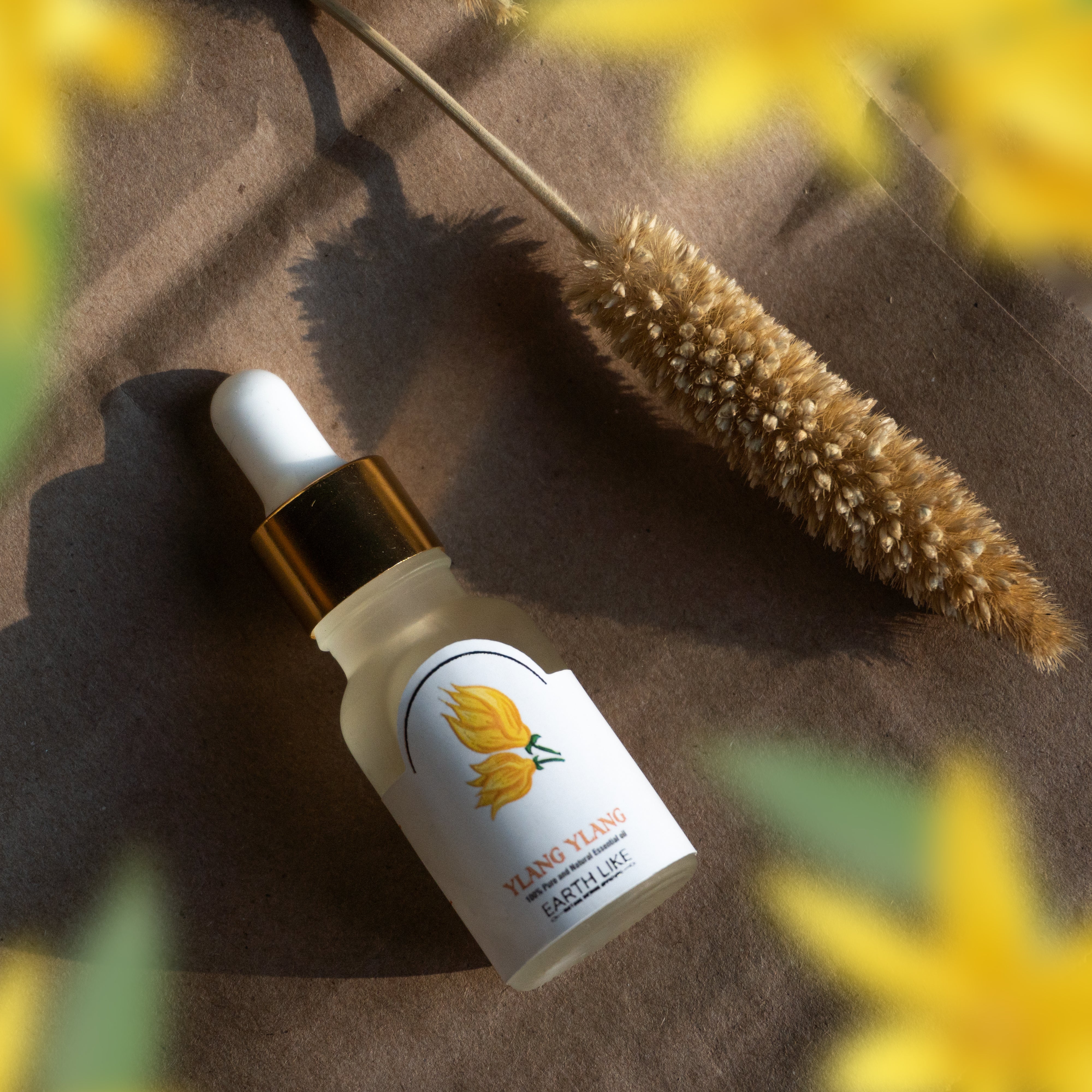 Ylang Ylang essential oil