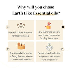 Eucalyptus essential oil